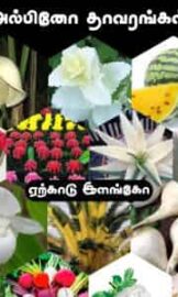 அல்பினோ தாவரங்கள்-Albino Plants-by Yercaud Elango