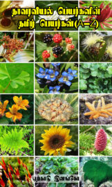 தாவரவியல் பெயர்களின் தமிழ் பெயர்கள்- botanical name in Tamil– ஏற்காடு இளங்கோ